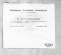 Diploschistes scruposus image